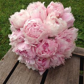 fwthumbwedding 015.jpg